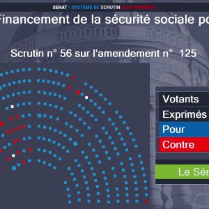 Le Sénat approuve une contribution de 7 heures non rémunérées dans le Budget de la Sécu