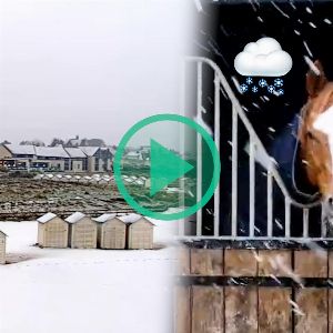 Premières chutes de neige en France : les images de la tempête Caetano