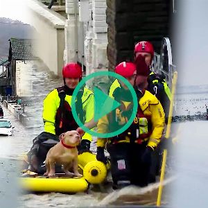 Tempête Bert : au moins deux morts et de nombreux dégâts au Royaume-Uni et en Irlande