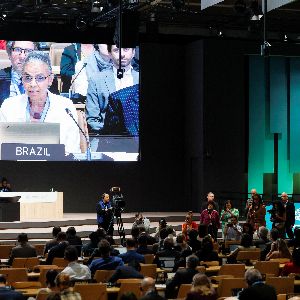 Des bonnes nouvelles des COP29 avec le Mexique, l'Indonésie, le Royaume-Uni et le Brésil