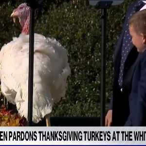 Joe Biden gracie les dindes Peach et Blossom pour son dernier Thanksgiving en tant que président