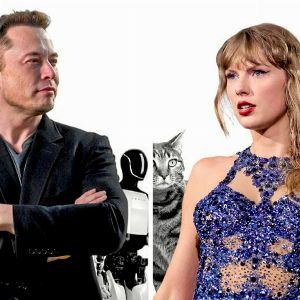 "Le clivage entre les fans d'Elon Musk et de Taylor Swift aux États-Unis"