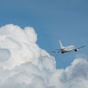 "Passager bâillonné en avion après une tentative dangereuse en plein vol"