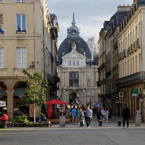 Trois individus arrêtés à Rennes après la découverte choquante dans leur sac