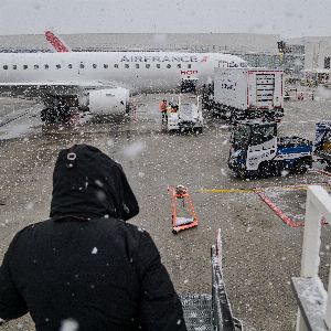 Air France mobilise un dispositif exceptionnel pour retrouver la chienne disparue d'une touriste à l'aéroport Charles de Gaulle