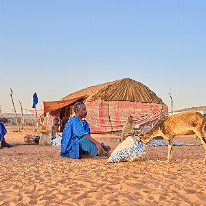 "Défis humanitaires de la Mauritanie face à l'arrivée de réfugiés et de leur bétail"