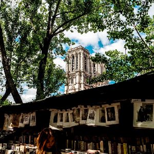 Les Américains passionnés par la restauration de Notre-Dame de Paris