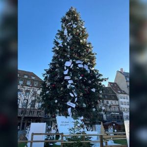 Décorations contestées pour le grand sapin de Noël de Strasbourg