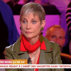 Isabelle Morini-Bosc critique la décision de Nagui sur l'absence de vachettes dans Intervilles