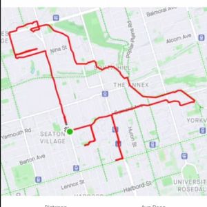 Plus de 1000 km de courses à pied : un utilisateur de Strava crée des dessins animés avec ses trajets