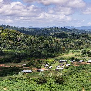 Victoire écologique en Guyane : fin du projet minier de la Montagne d’or confirmée