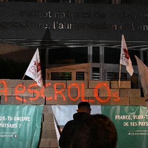 Crise des agriculteurs : condamnation des atteintes aux biens par Genevard suite à la manifestation devant l’Inrae à Paris