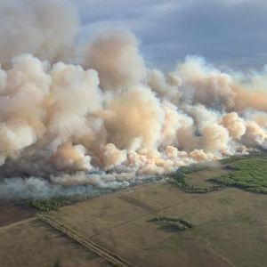 La pollution de l'air liée aux incendies provoque 1,5 million de décès par an dans le monde