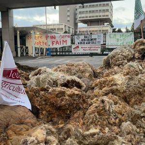 Mobilisation des agriculteurs des Alpes-Maritimes contre les freins administratifs et la spéculation