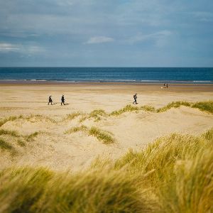 Découverte mystérieuse : une créature marine intrigue les habitants du Royaume-Uni