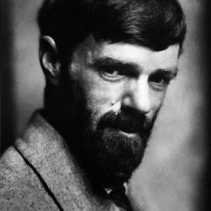 Découvrez l'œuvre de D. H. Lawrence, explorateur de la sexualité sociale