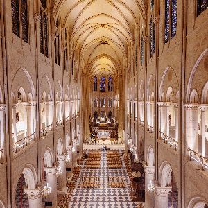 Les milliardaires au chevet de Notre-Dame de Paris