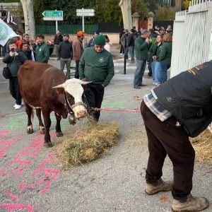 Manifestation des agriculteurs devant la sous-préfecture des Bouches-du-Rhône