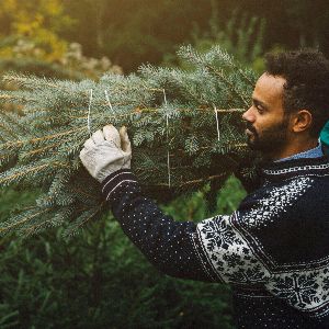 Acheter un sapin de Noël un mois avant : conseils et astuces à suivre