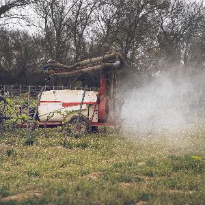 Le gouvernement annonce des simplifications pour répondre à la colère des agriculteurs