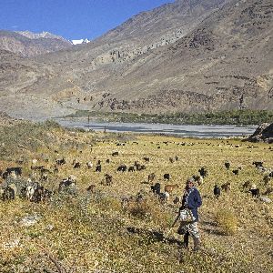 Les incontournables voyages des Bouts du monde