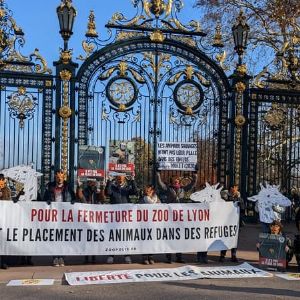 Mobilisation à Lyon pour la fermeture du zoo de la Tête d'Or