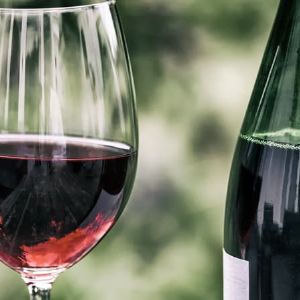 Potentiel de croissance pour les vins français avec l'accord UE-Mercosur