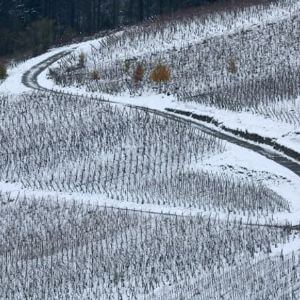 Contraste météorologique en France : du froid en Franche-Comté aux températures douces dans le Sud-Ouest