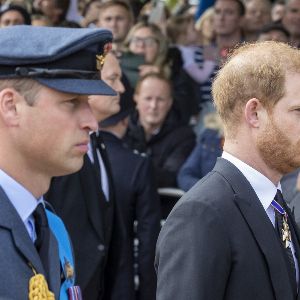 "William vs Harry : Révélations sur leurs différences lors des repas par leur ancien majordome"