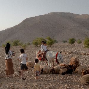 "Annexion illimitée : la stratégie expansionniste d'Israël en Cisjordanie"