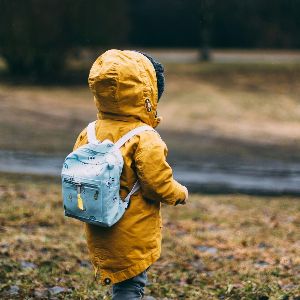 "Enfant de 4 ans victime d'une attaque de 50 abeilles pendant une sortie au parc"