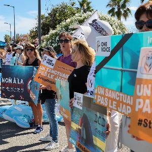 Projet de fermeture définitive de Marineland à Antibes le 5 janvier suite à l'interdiction des spectacles de cétacés