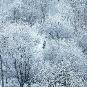 Tempête hivernale approche : alerte neige et froid pour ce week-end !