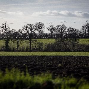 L'avenir des sols agricoles : maintien des normes sanitaires et écologiques essentiel