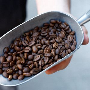 Les raisons de la flambée des prix mondiaux du café arabica