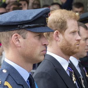 Réconciliation entre Harry et William pour hommage à Diana