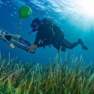 Révélation de la biodiversité marine en Méditerranée grâce à l'ADN