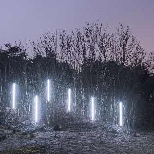 Les enjeux cruciaux de la préservation des forêts face au réchauffement climatique