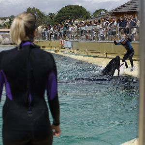 Marineland Antibes : Les coulisses du parc à l'heure des grandes décisions