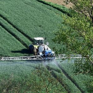 Enjeux cruciaux pour les élections agricoles dans les Alpes du Sud