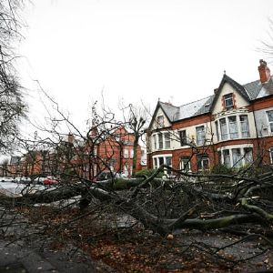 Tempête Darragh : Deux morts au Royaume-Uni à cause de chutes d'arbres