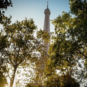 "Paris passe en mode jungle urbaine pour lutter contre la chaleur : 120 rues végétalisées"