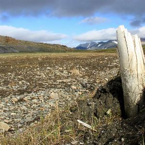 "Incendies en Arctique : le cercle infernal du réchauffement climatique s'intensifie"