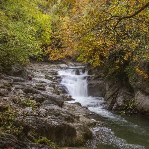 Découverte macabre en Saône-et-Loire : un corps démembré mystérieux intrigue les autorités