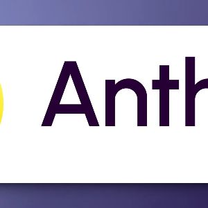 "Révélez le potentiel de votre Raspberry Pi avec Anthias, l'afficheur dynamique révolutionnaire !"