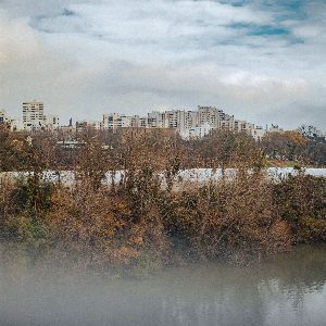 "Découvrez comment réhabiliter un terrain pollué à L’Ile-Saint-Denis"