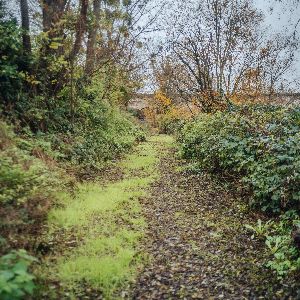 "Incroyable ! Les quartiers populaires regorgent de solutions écologiques insoupçonnées !"