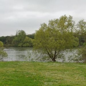 "Mystère résolu : les pieds retrouvés en bord de Seine appartiennent à un homme disparu"