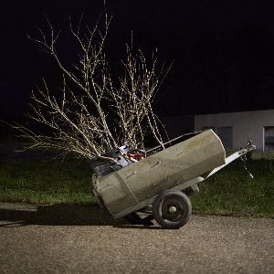 Des activistes écolos clandestins font pousser des arbres la nuit à Nancy