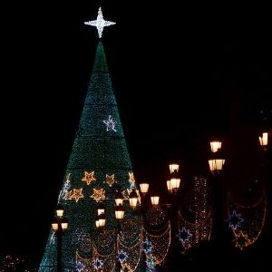 Découvrez l'origine mystérieuse de la tradition du sapin de Noël !